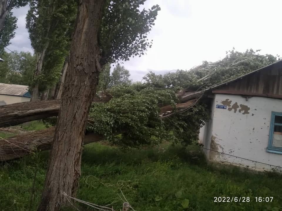 Нарында катуу шамал болуп, үйдүн чатырына терек кулаган (видео)