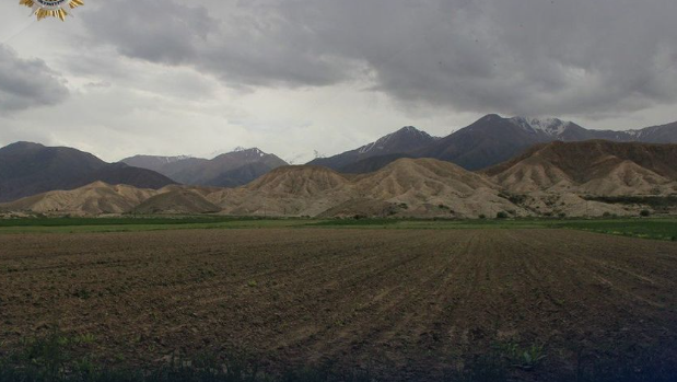 Нарында 25 жыл мурда мыйзамсыз берилип кеткен жер тилке айыл өкмөткө кайтарылды