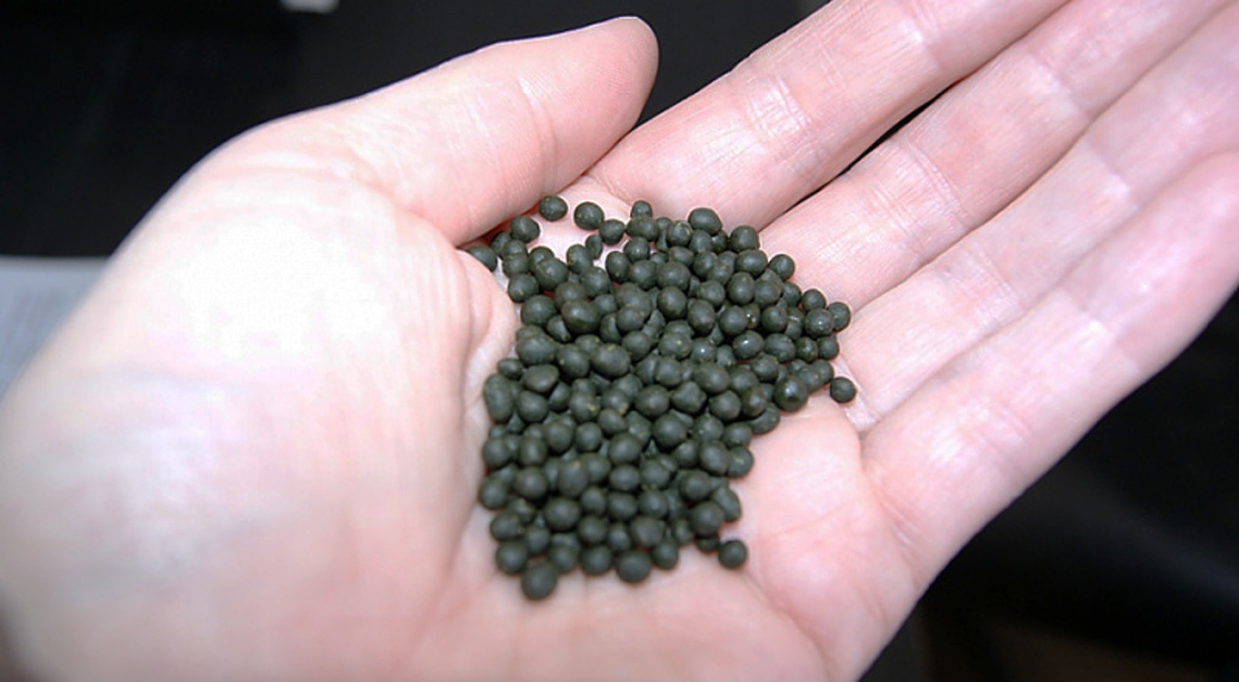 Баткенде 7 тонна насвай алып кетип бара жаткан айдоочу кармалды