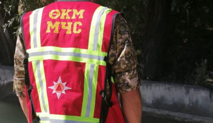 Кара-Сууда 9 жана 7 жаштагы балдардын жансыз денеси табылды