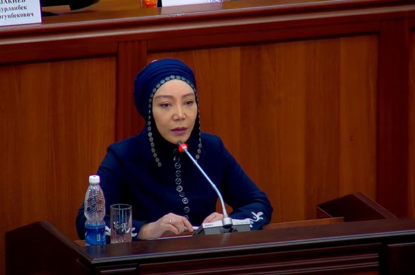 Депутат Динара Ашимова үй-бүлөлүк зордук-зомбулуктун алдын алуу боюнча чараларды күчөтүүгө чакырды