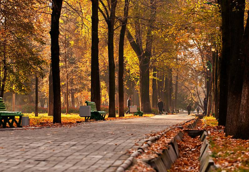 1-ноябрга карата өлкөдө күтүлгөн аба ырайы