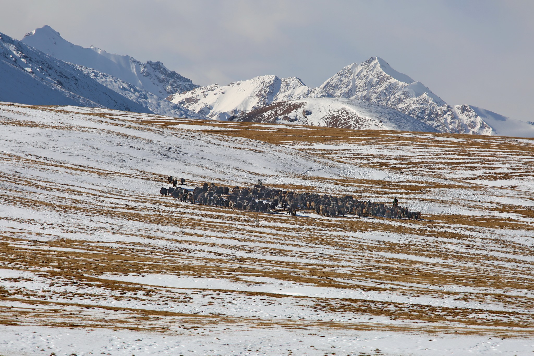 11-ноябрга карата өлкөдө күтүлгөн аба ырайы